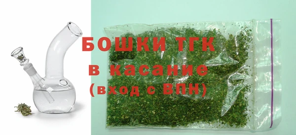 ECSTASY Вяземский