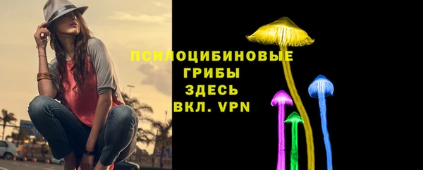 ECSTASY Вяземский