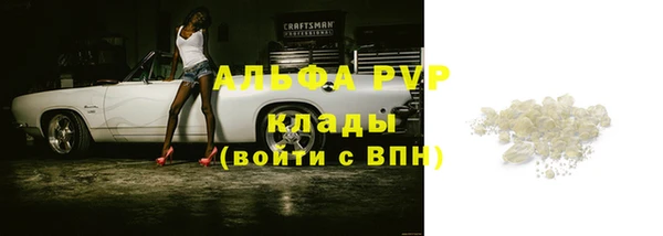 ECSTASY Вяземский